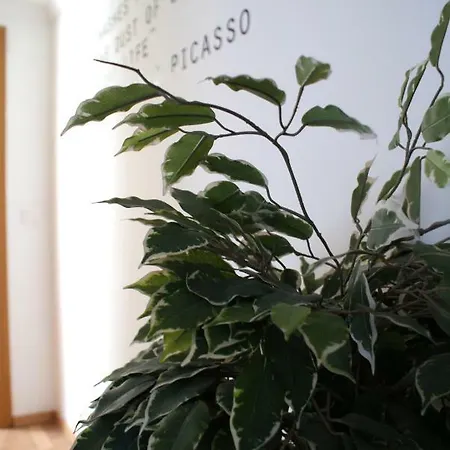 Calma Chicha Apartment Malaga